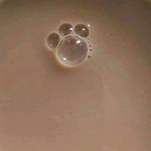 Meet your Posher, Annette